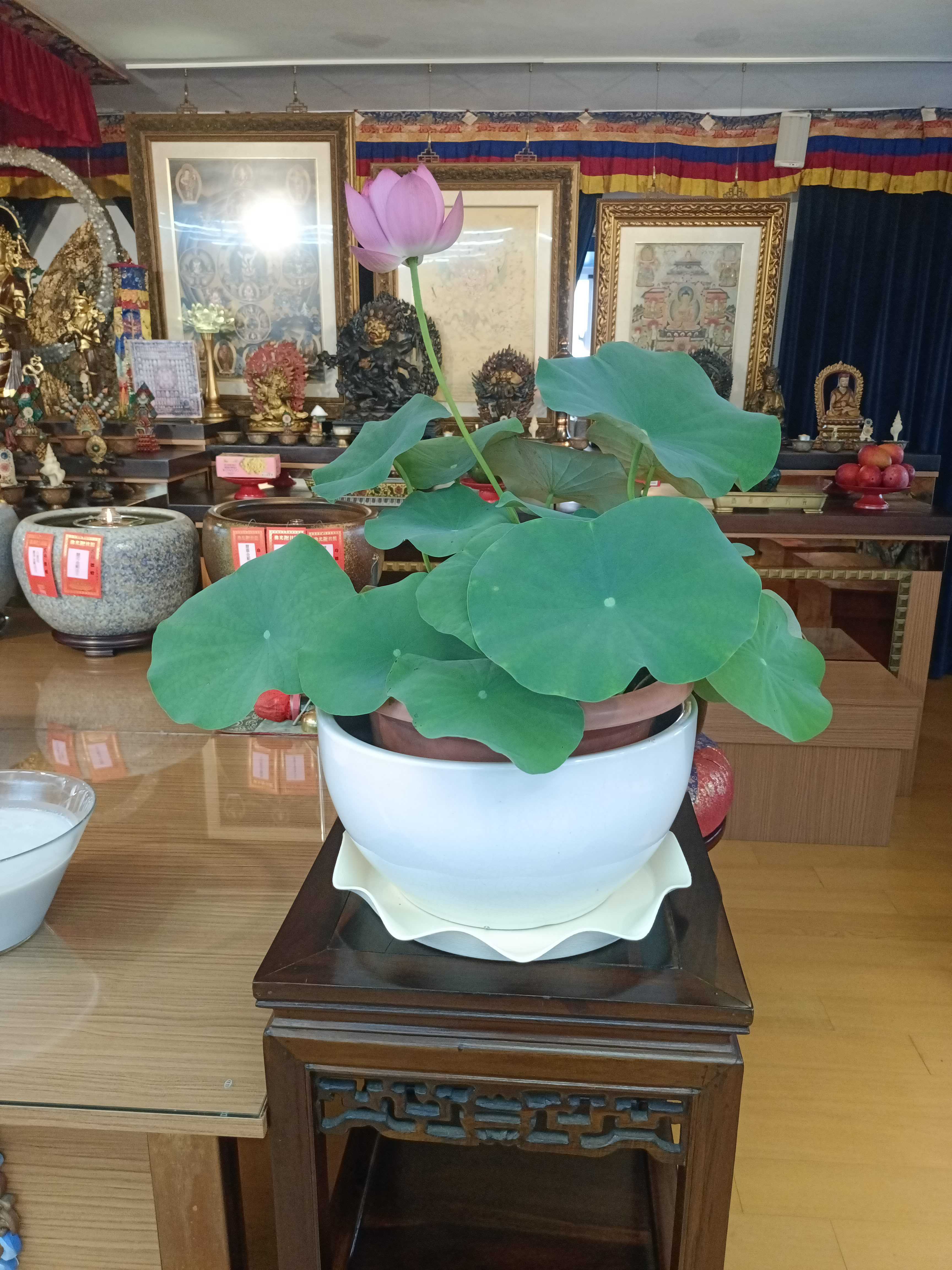 週六共修---讀誦華嚴經第7卷